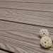Террасная доска из ДПК Terrapol Смарт 3D Полнотелая без паза Тик Киото купить в Воронеже
