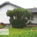 Сайдинг Ю-Пласт TIMBERBLOCK Ель (Тимберблок), Скандинавская купить в Воронеже
