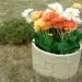 Цветник КАНЬОН купить в Воронеже